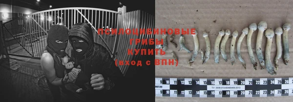 трава Гусев