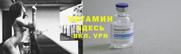 трава Гусев