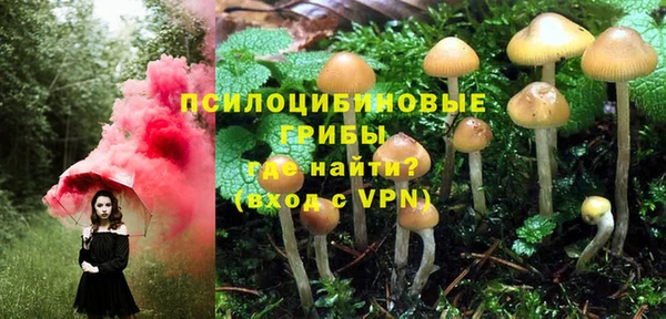 альфа пвп Гусь-Хрустальный